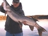 muskie1