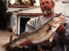 walleye1