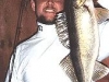 walleye6